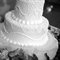 Crinoline and Lace: A Wedding Blog