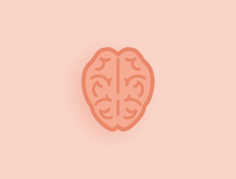 the brain